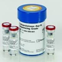 罗氏- Endoproteinase Asp-N Sequencing Grade