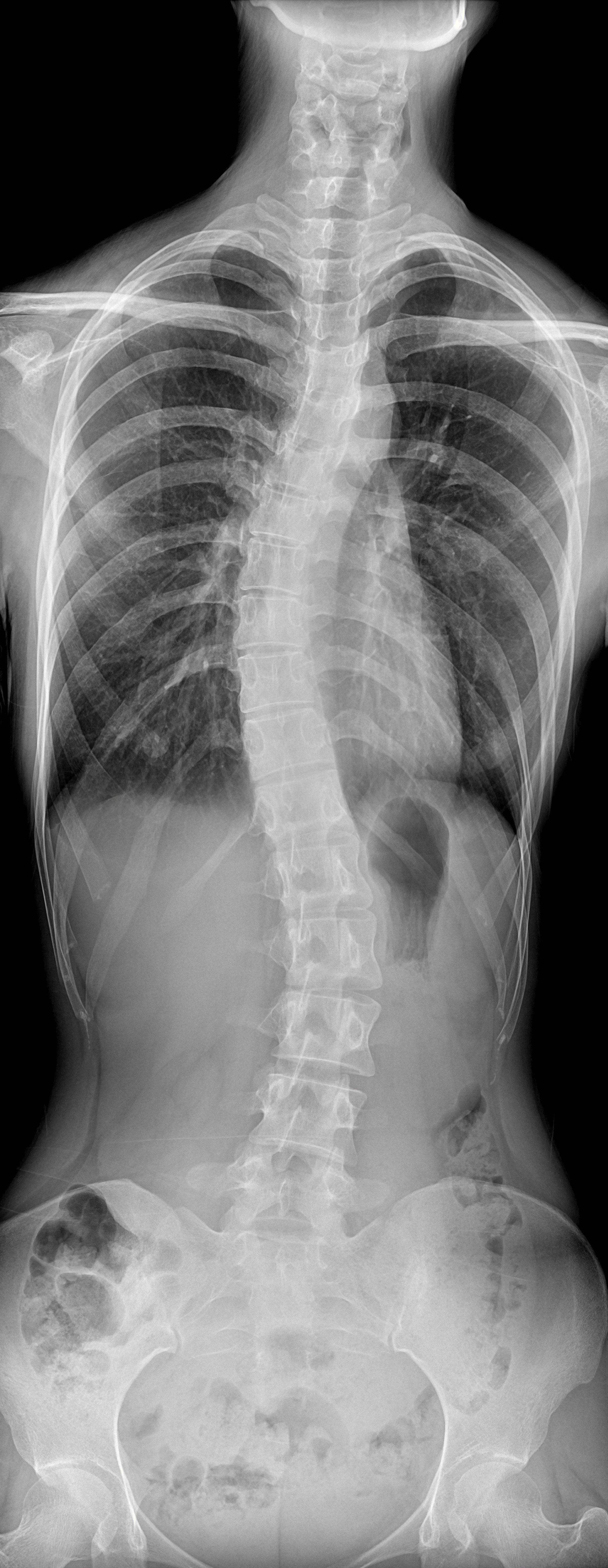 DR 当自强：走在世界前面的中国力量