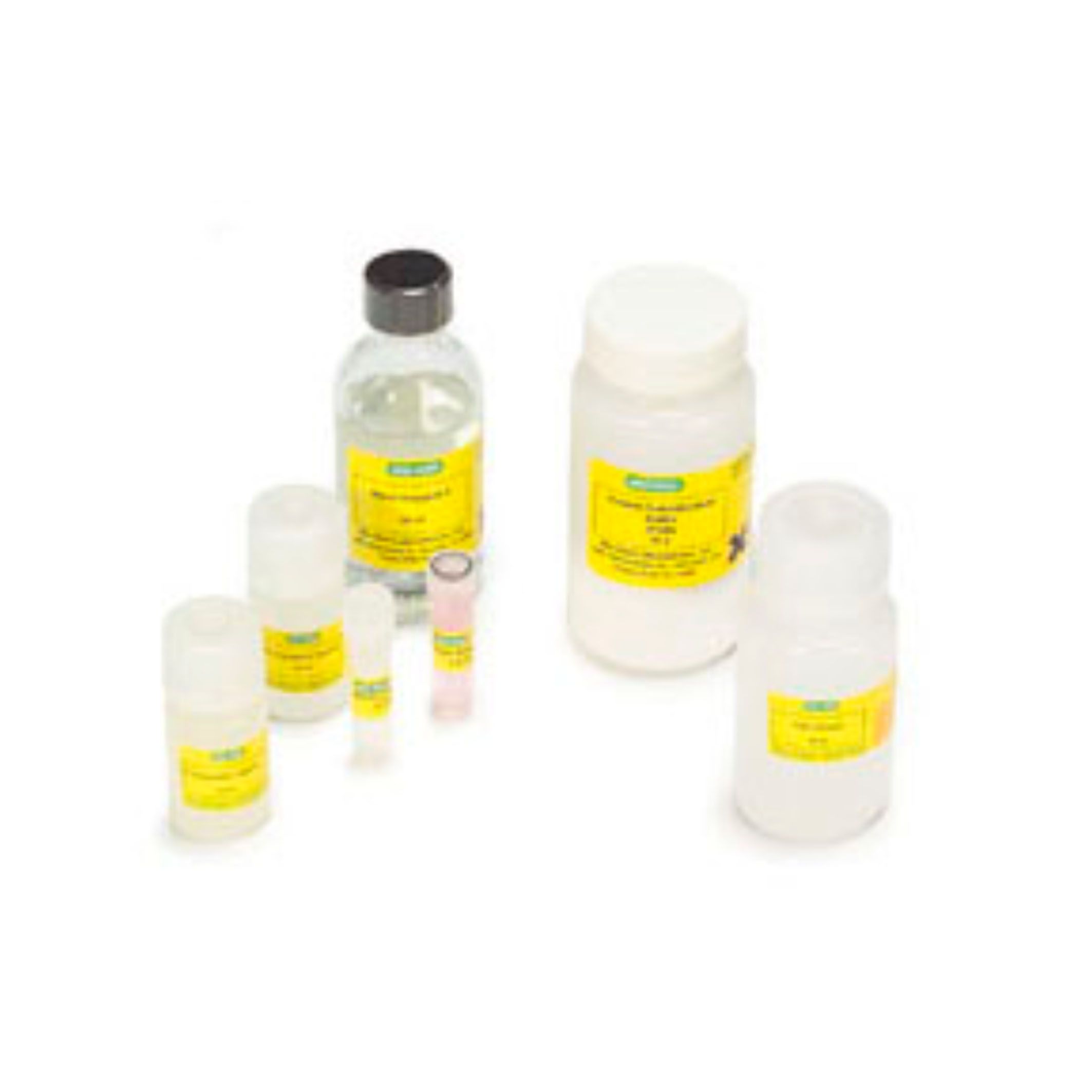  伯乐Bio-rad Plant Cell Lysis Kit植物细胞裂解试剂盒163-2142，现货