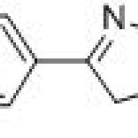 101084-52-0/ 3-(4-吡啶基)2-异恶唑-5-酮 , 95%