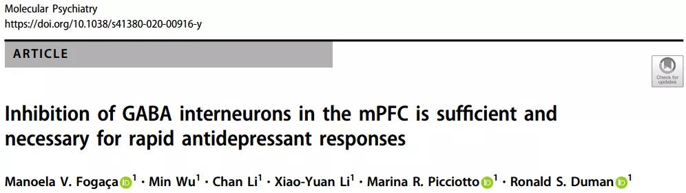  【文献解读】摆脱抑郁！抑制 mPFC 的 GABA 能中间神经元让你和抑郁症说再见