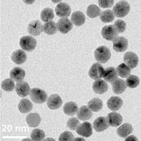 粒酶活性检测实验