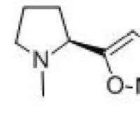 147388-83-8/3-甲基-5-[(2S)-1-甲基-2-咯烷基]异恶唑盐酸盐