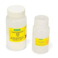 伯乐Bio-rad 1632145  Protein Solubilization Buffer (PSB),  ​​​​​​​蛋白溶解缓冲液（PSB） makes 50 ml of solution，现货