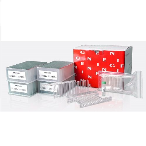 核酸提取预封装试剂-Purifier 32 预封装试剂-FineMag 快速磁珠法病毒 DNA/RNA 提取试剂盒