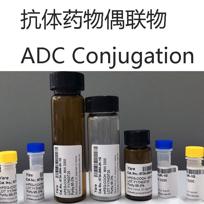 抗体药物偶联物 ADC Conjugation