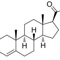 302-97-6/ 3-氧代-雄甾-4-烯-17beta-羧酸 , 98%