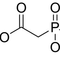 311-46-6/ 乙基磷酰基乙酸二甲酯 , 98%