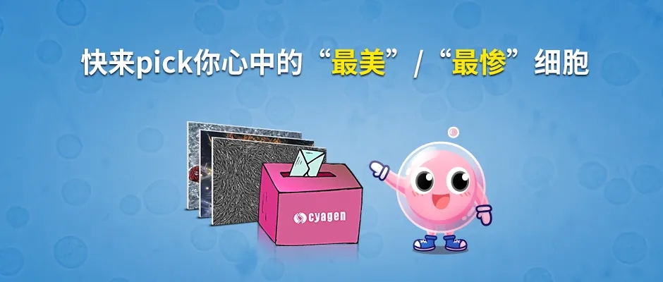 【投票啦】快来投票并学习细胞培养经验吧