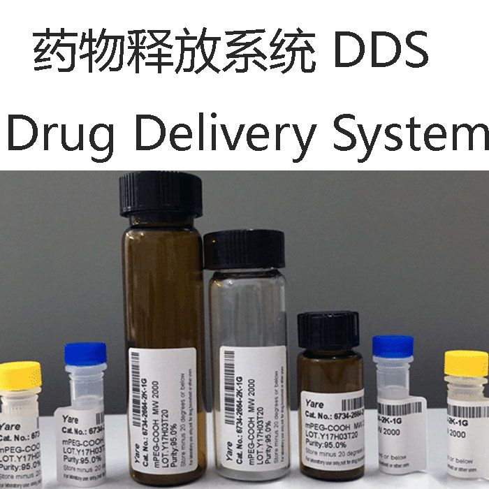 药物释放系统 DDS Drug Delivery System