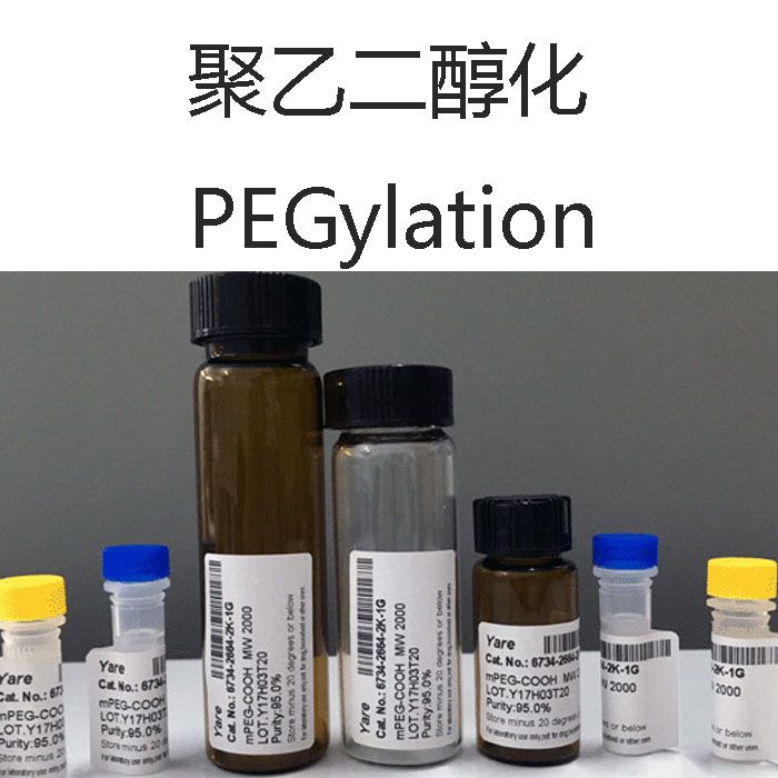 聚乙二醇化 PEGylation