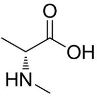 29475-64-7/	 N-甲基-D-丙氨酸 ,98%