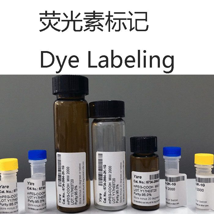 荧光素标记 Dye Labeling