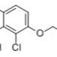 957062-67-8/3-苄氧基-2-氯-6-苯硼酸