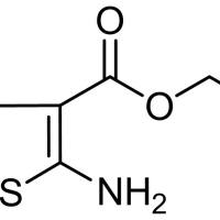 31891-06-2/	 2-氨基噻吩-3-甲酸乙,	98%