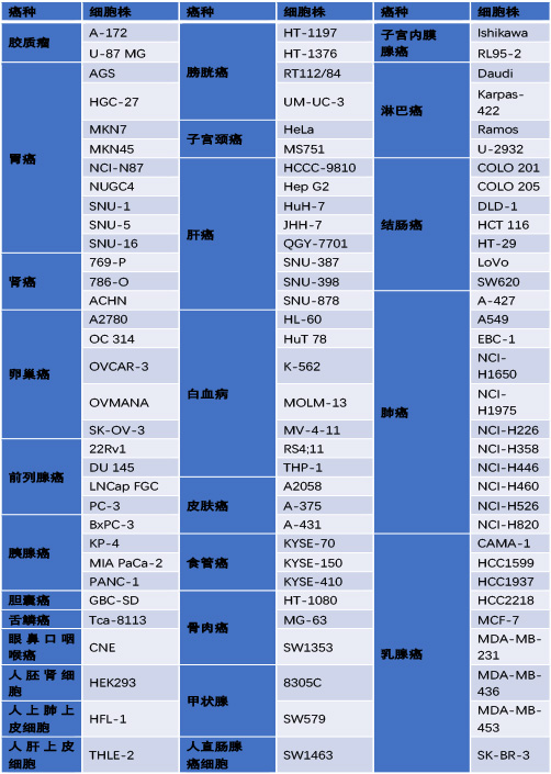新闻图片2