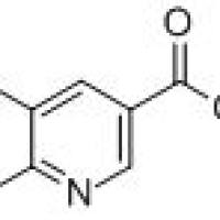 901300-51-4/6 - 溴-5 - 甲基烟酸
