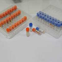CD10金属肽链内切酶抗体
