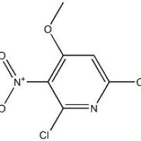 1258884-26-2/	 2,6-二氯-4-甲氧基-3-基吡啶 ,	95%+