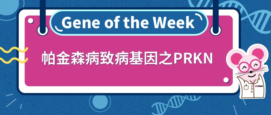 帕金森病致病基因之PRKN