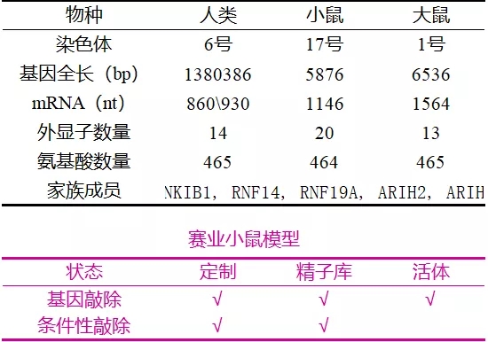 帕金森病致病基因之PRKN