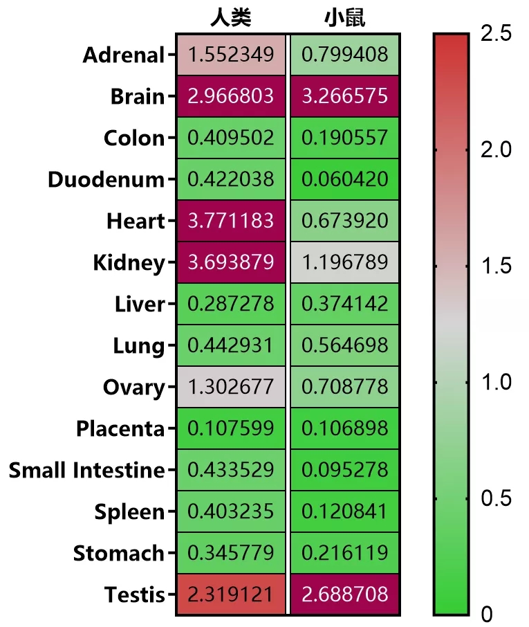 帕金森病致病基因之PRKN