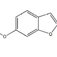 110060-70-3/	 6-(苄氧基)苯呋喃-2-羧酸乙酯,	≥95%