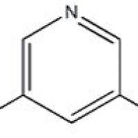 1187932-24-6/3-氨基-5-甲吡啶盐酸盐