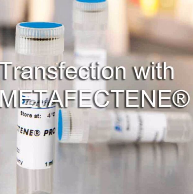 METAFECTENE® PRO转染试剂（应用于真核细胞）