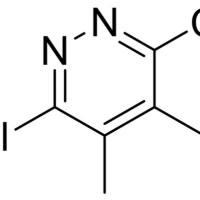 3454-69-5/ 4,5-二甲基-3,6-二氯哒嗪, 98%