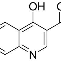 343-10-2/ 6-氟-4-羟基啉-3-羧酸 , 97%