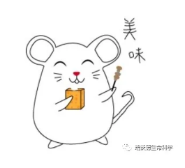 解密：操作性行为系统——斯金纳箱