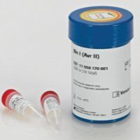 Bln I (Avr II) from Brevibacterium linens