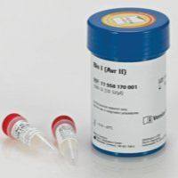 Bln I (Avr II) from Brevibacterium linens