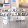 METAFECTENE® PRO转染试剂(应用于真核细胞)