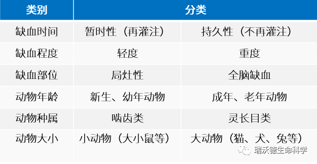 常用小动物脑缺血模型制备及评价汇总