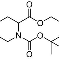 362703-48-8/	 N-Boc-2-啶甲酸乙,	98%