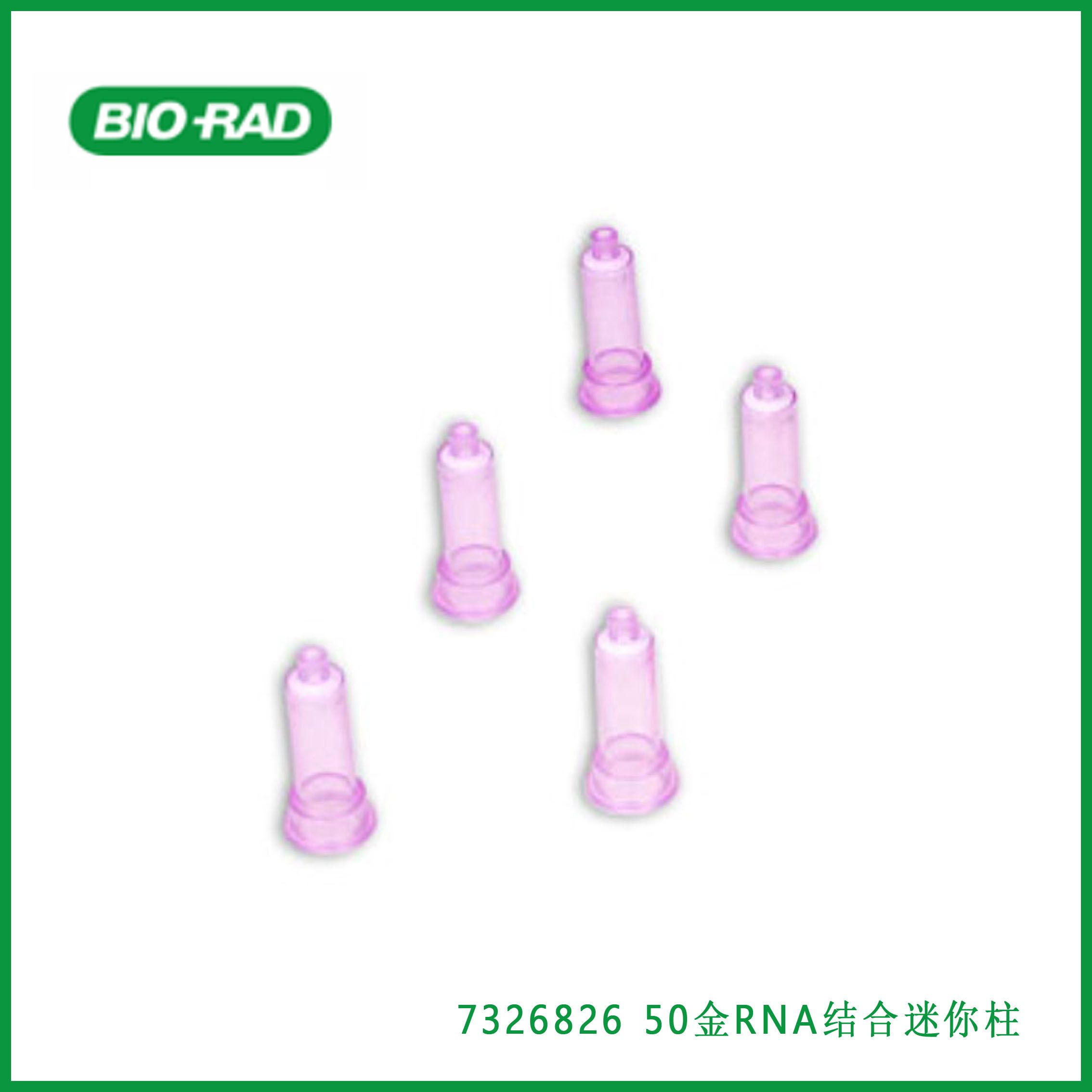 伯乐Bio-rad 7326826 Aurum RNA Binding Mini Columns, 50金RNA结合迷你柱,50,现货产品图