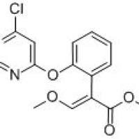 131860-97-4/(E)-2-[2-(6-氯嘧啶-4-基氧)苯基]-3-甲氧基烯酸甲酯