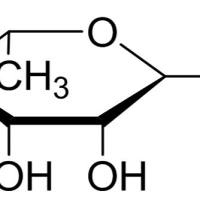 3615-41-6/ L-鼠李糖, 98%