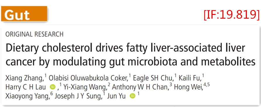 Gut：高胆固醇饮食与脂肪肝相关肝癌的关系，终于有研究证据了！