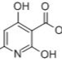 846557-80-0/	 2,4-二羟基-6-基吡啶-3-甲酸 ,	96%