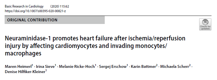 赛业生物助力揭示促进缺血/再灌注损伤后的心力衰竭的新机制