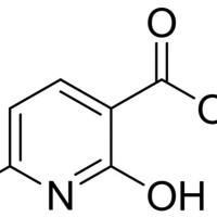 38116-61-9/ 2-羟基-6-甲基烟酸 , 98%