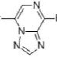 959755-46-5/	 5,8-二溴-1,2,4-三唑并[1,5-A]吡嗪,97%
