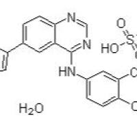 388082-78-8/ 二甲苯磺酸拉帕替尼, ≥98%
