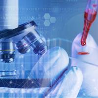 Sanger测序/实验基地/质量可靠/快速交付/测序通量/擎科生物TSINGKE