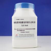 缺陷假单胞菌培养液（SLB肉汤）