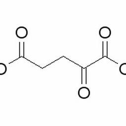 328-50-7/ α-酮戊二酸 ,BR，99%
