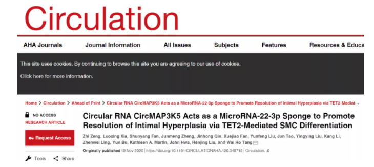 重大进展!︱Circulation：广州妇女儿童医疗中心邓伟豪团队揭示血管新内膜形成新机制